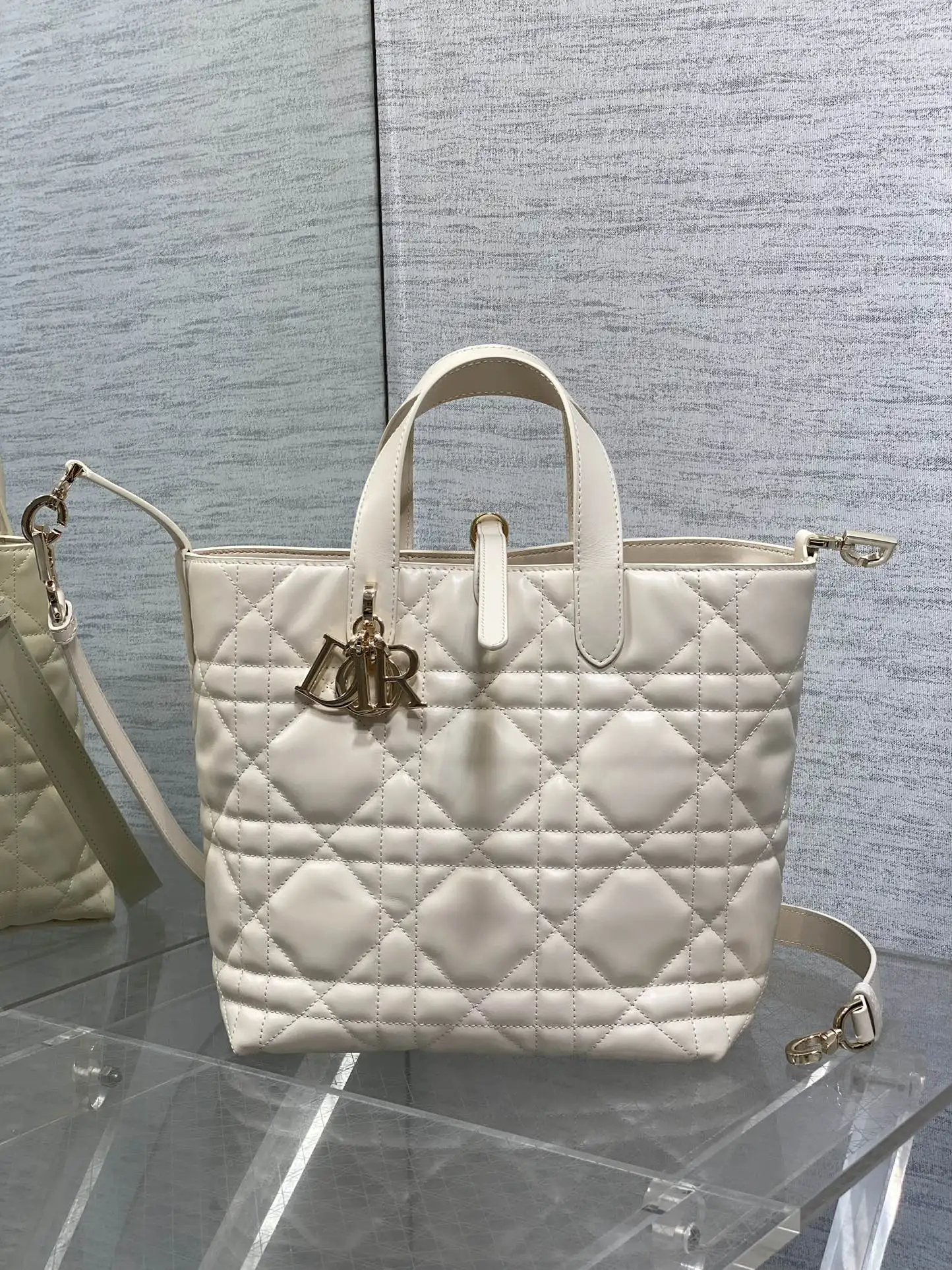 Dior Ivory White Vertical Series Mini Crossbody Bag Women s Crossbody Bag