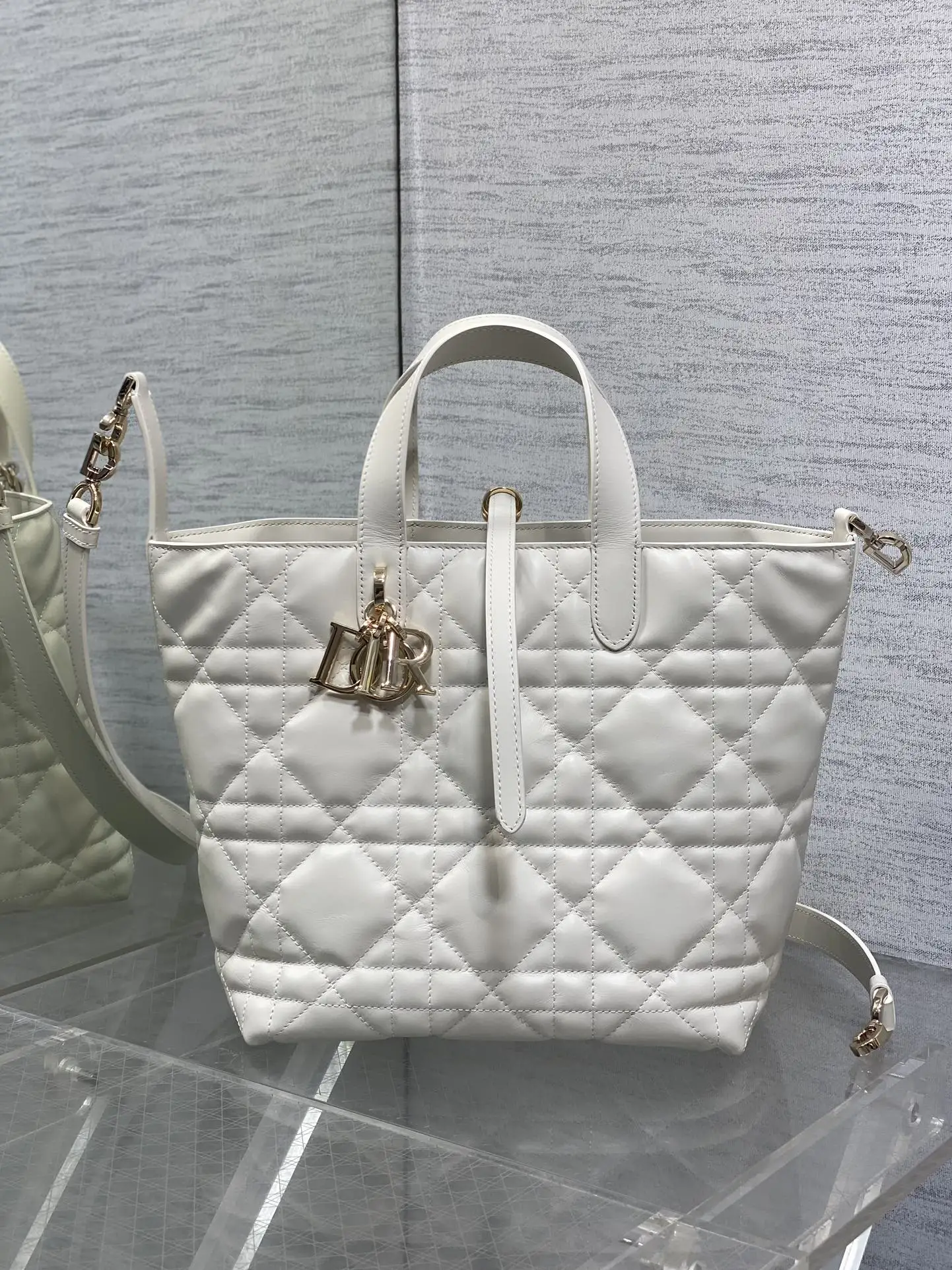 Dior Cowhide Wax Leather Toujours Vertical Series Mini Crossbody Bag Women s Crossbody Bag