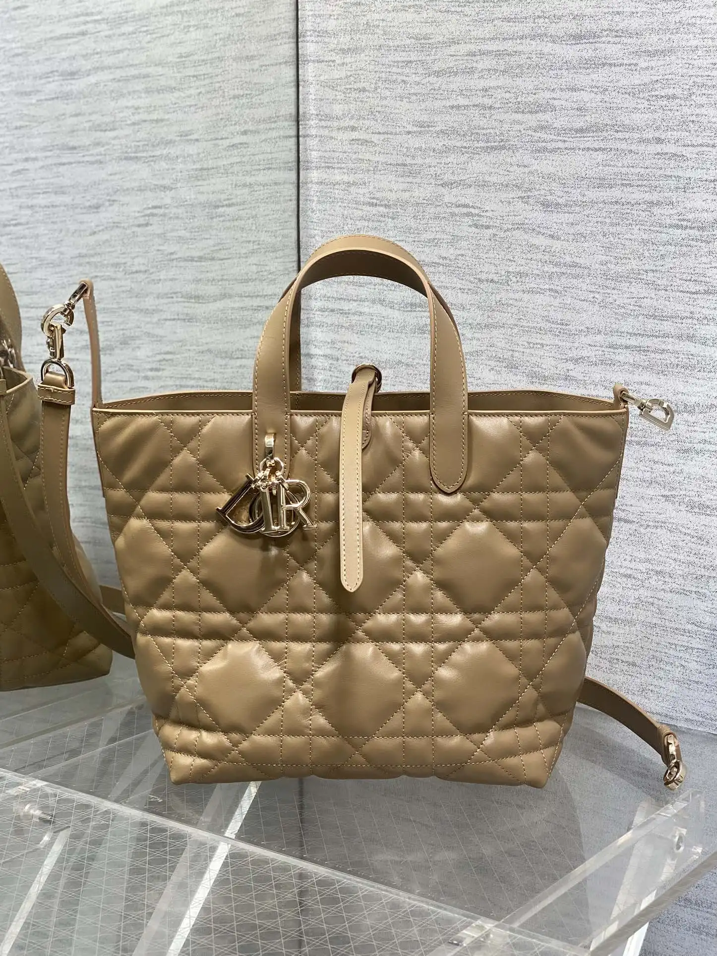 Dior Cowhide Oil Wax Leather Toujours Vertical Series Mini Crossbody Bag Women s Crossbody Bag