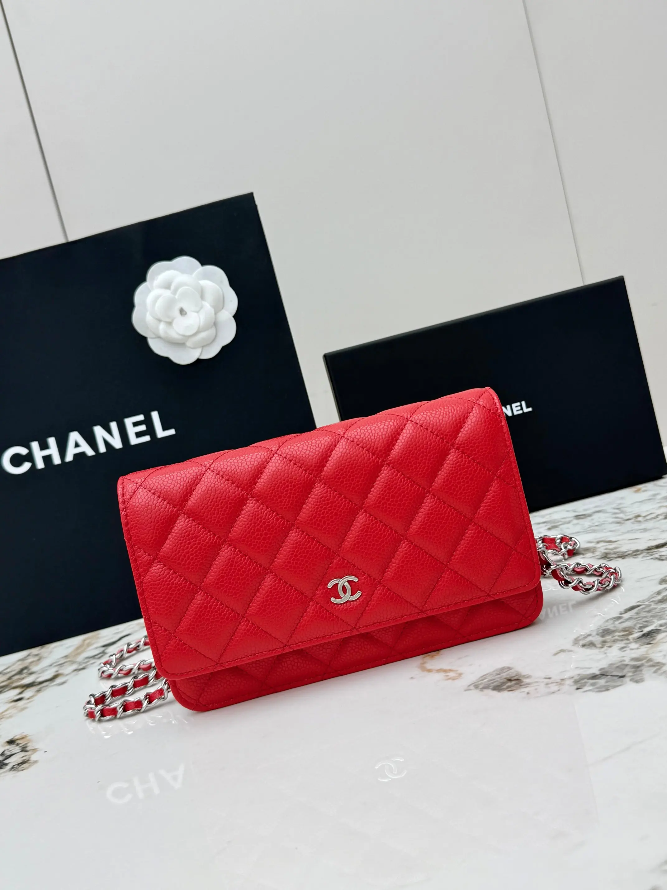 Chanel AP0250 Handbag with Chain, Crossbody Bag