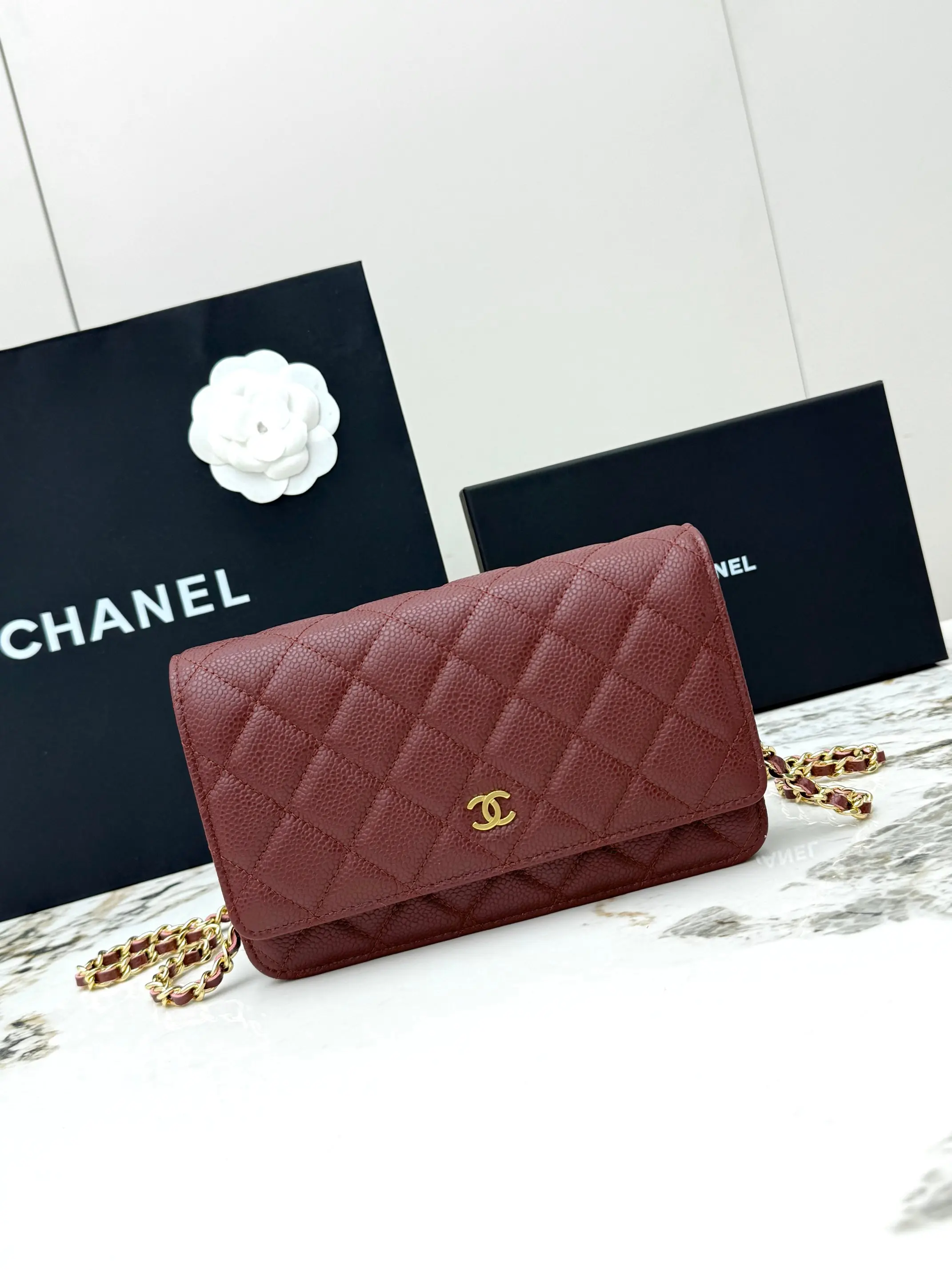 Chanel AP0250 Handbag with Chain, Crossbody Bag