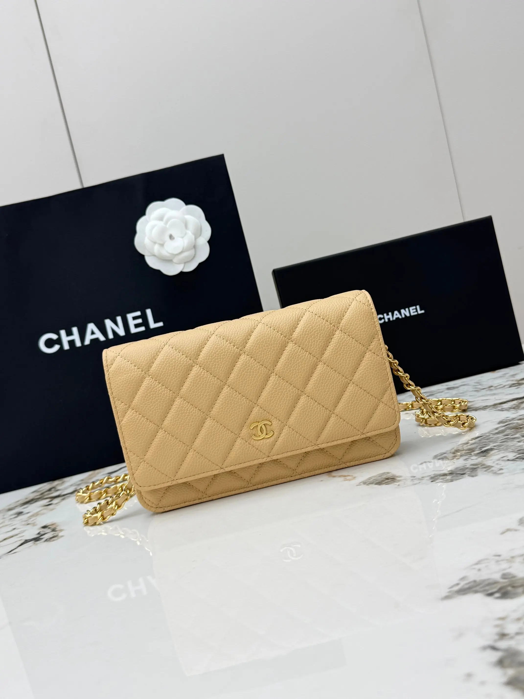 Chanel AP0250 Handbag with Chain, Crossbody Bag