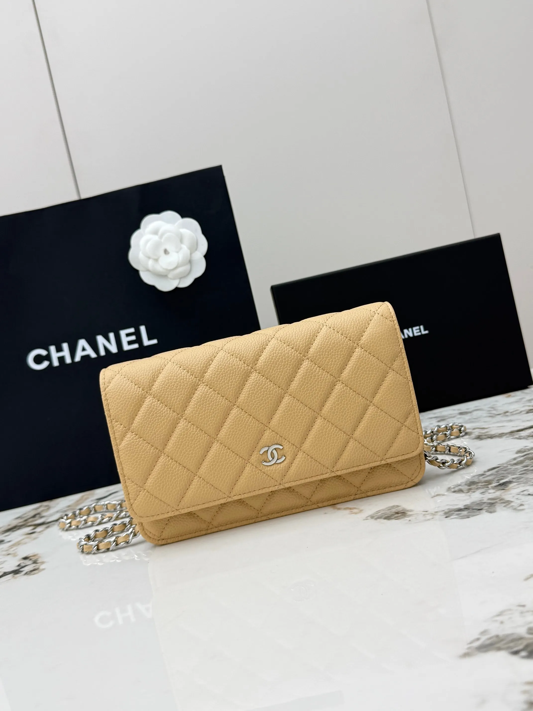 Chanel AP0250 Handbag with Chain, Crossbody Bag