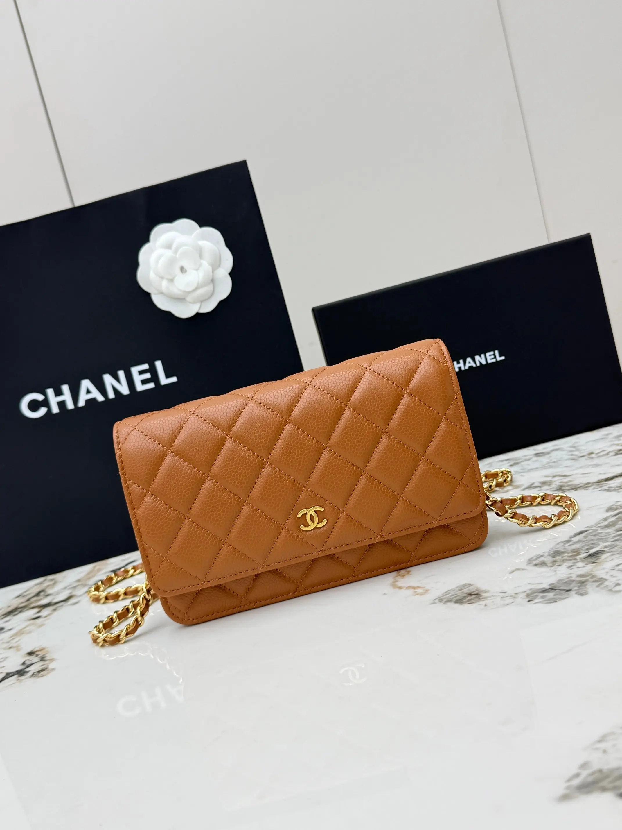 Chanel AP0250 Chain Strap Clutch Bag Crossbody Bag Chanel AP0250 Chain Strap Clutch Bag Crossbody Bag