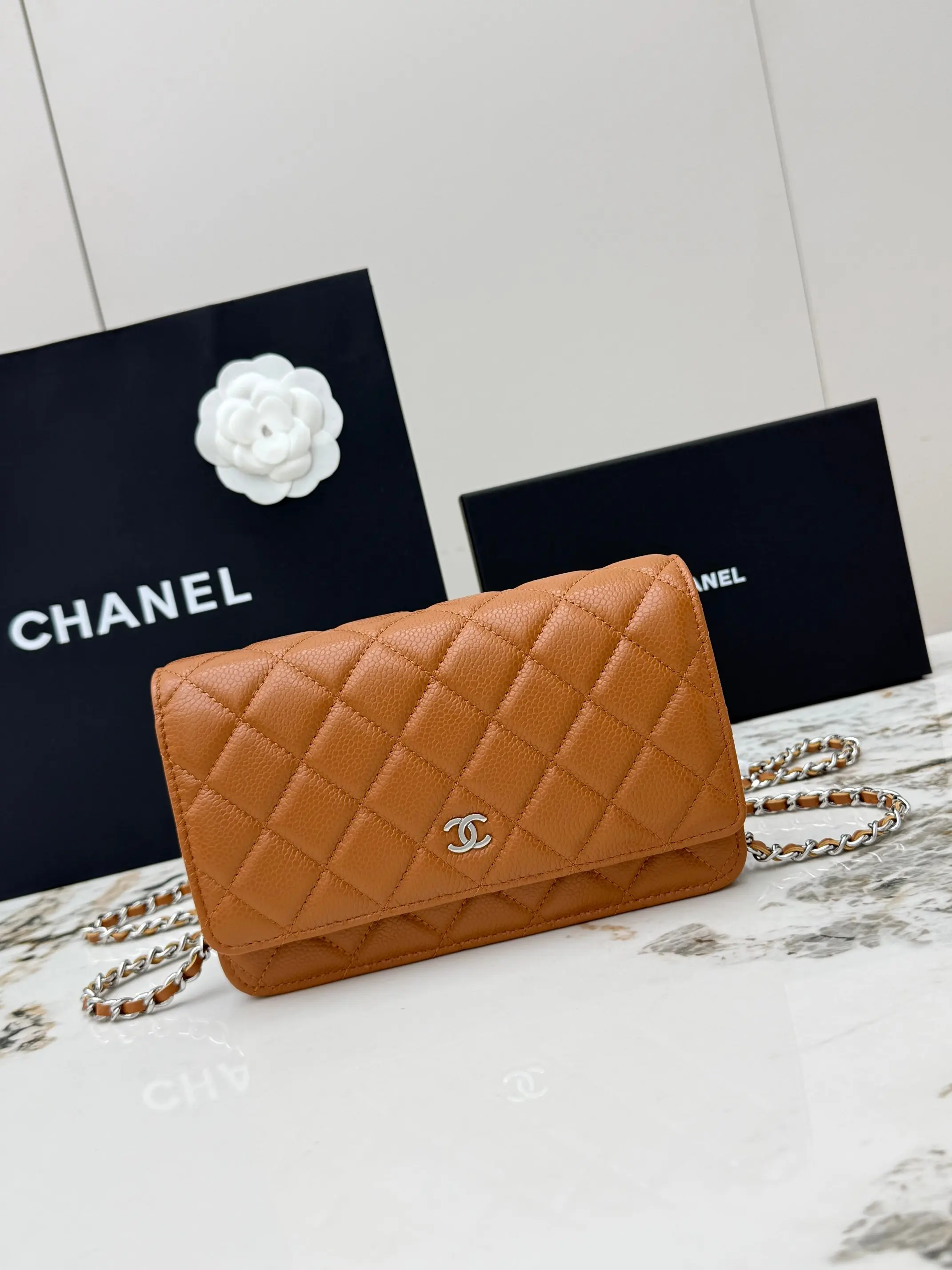 Chanel AP0250 Handbag with Chain, Crossbody Bag Chanel AP0250 Handbag with Chain, Crossbody Bag