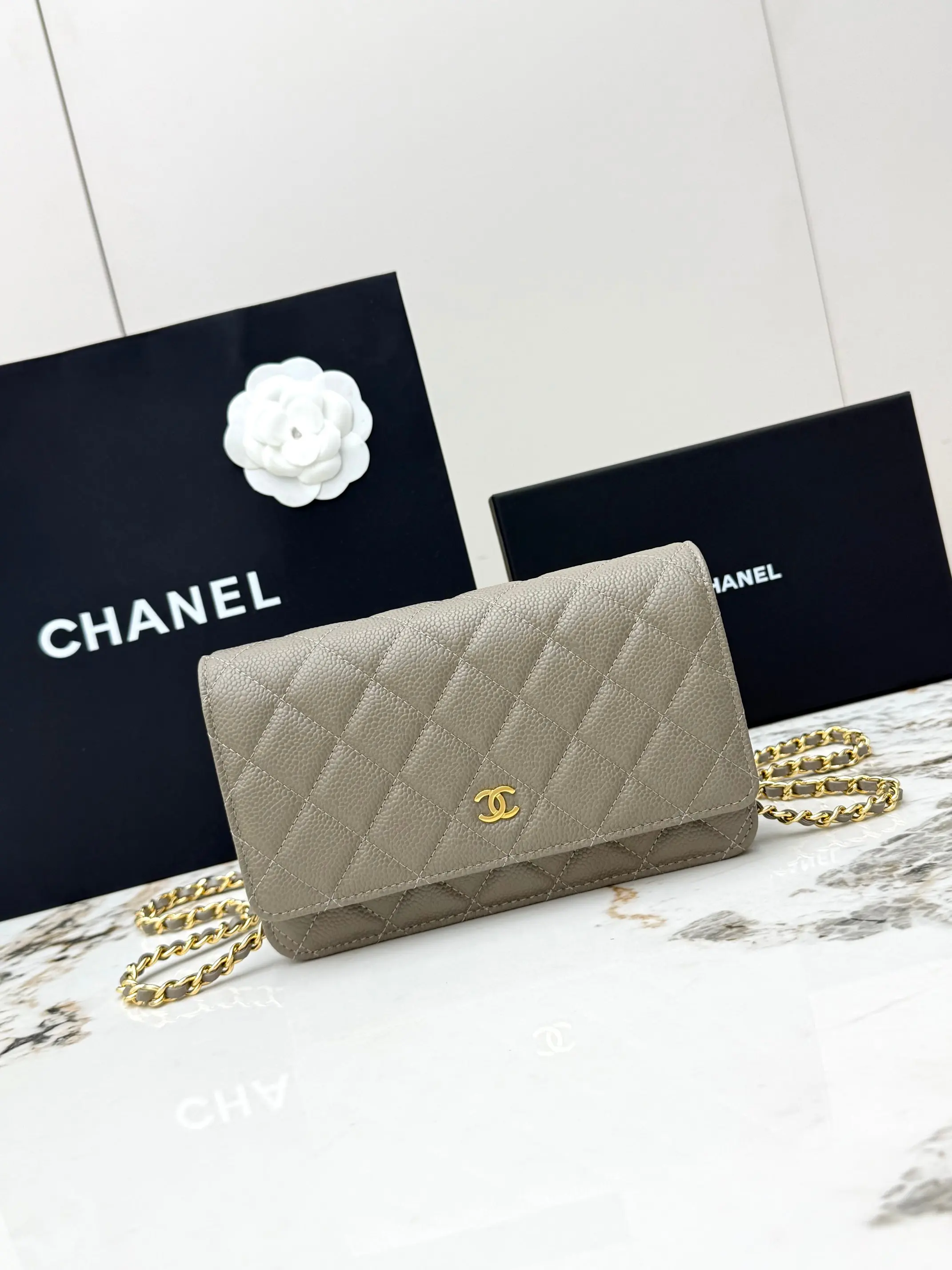 Chanel AP0250 Handbag with Chain, Crossbody Bag