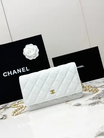 AP0250 Chain Strap Clutch Bag Crossbody Bag Replica Chanel womens bags