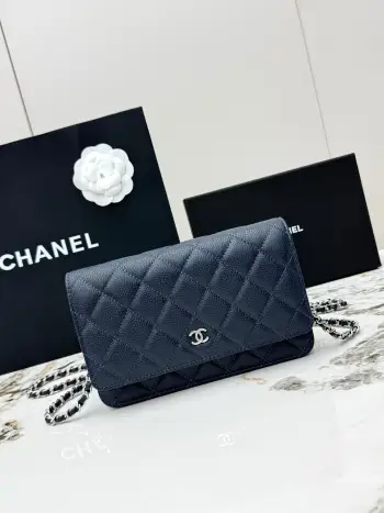 AP0250 Chain Strap Clutch Bag Crossbody Bag Replica Chanel womens bags
