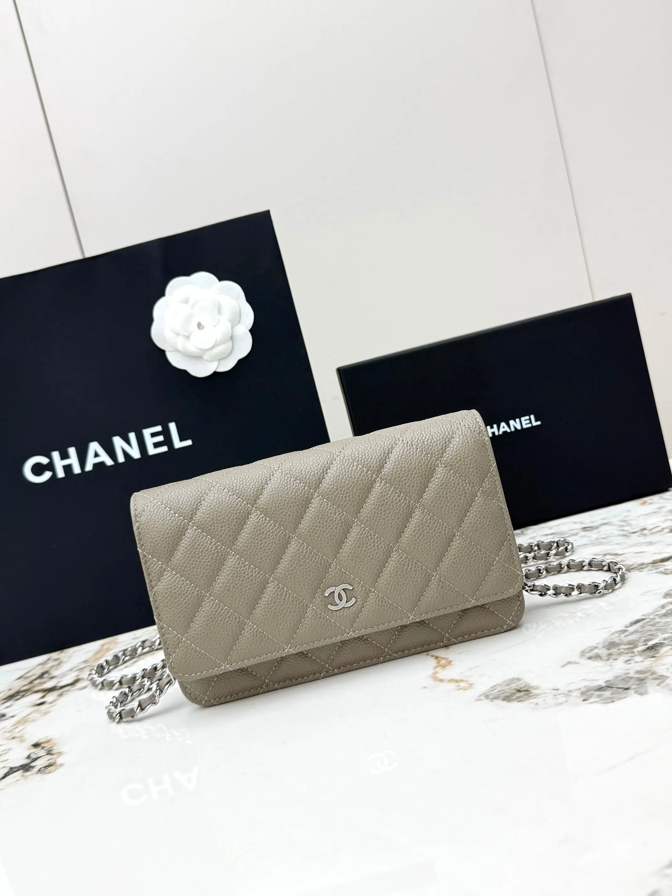 Chanel AP0250 Handbag with Chain, Crossbody Bag