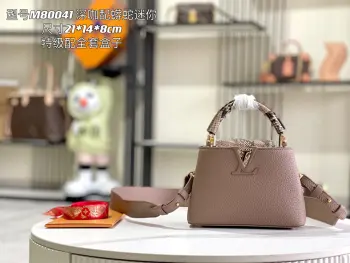 M80041 深咖配蟒蛇金扣手袋 斜挎包 高仿LV女包