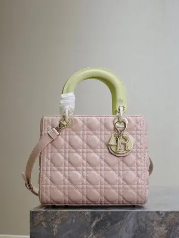 0565 五格羊皮手袋 女士斜挎包 高仿迪奥女包