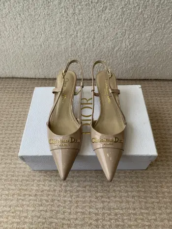 25ss春夏新款D-My尖头高跟鞋 高仿迪奥女士高跟鞋/单鞋