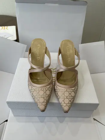 25ss 春夏走秀新款Tribales系列女鞋 高仿迪奥女士高跟鞋/单鞋