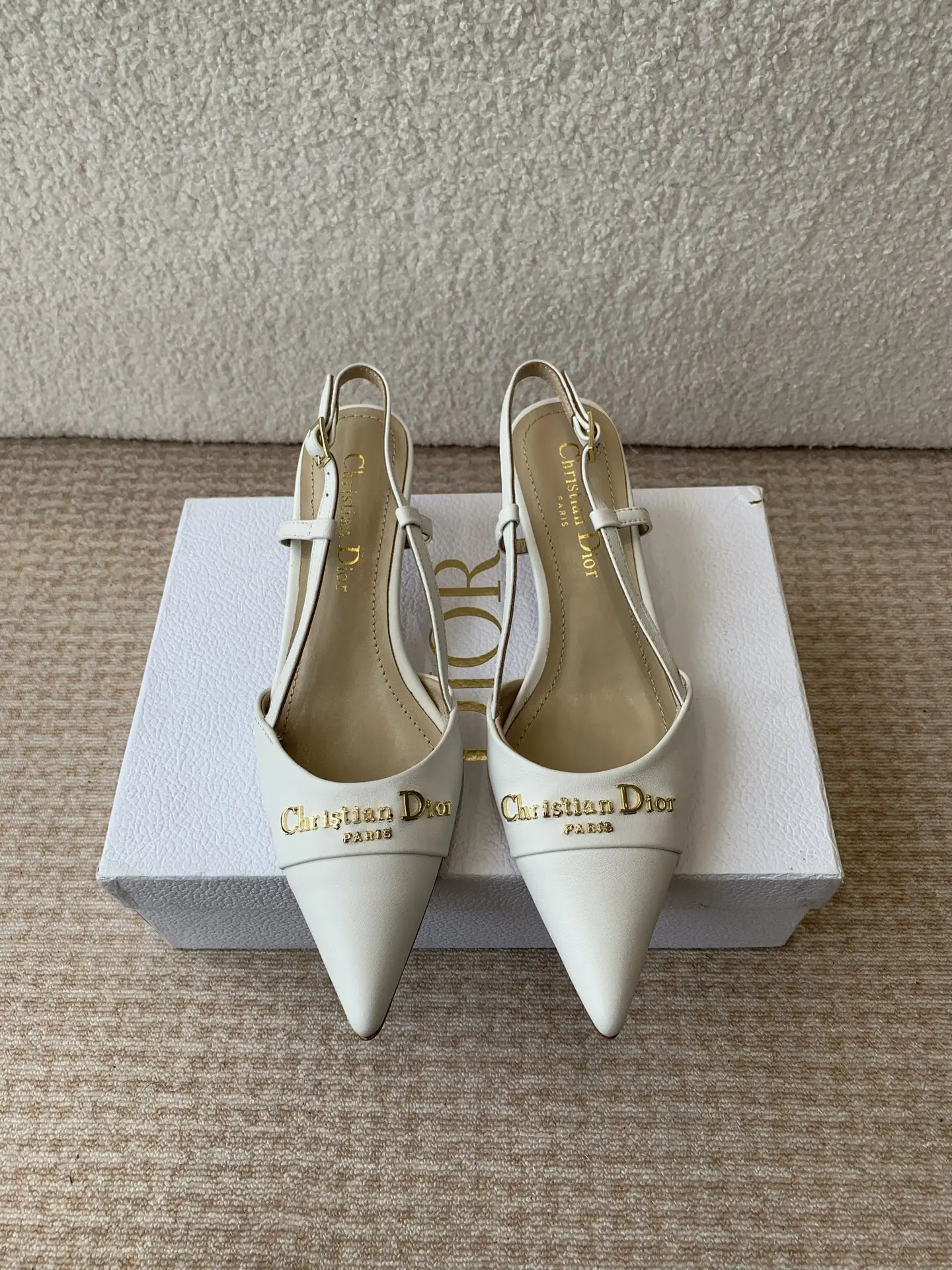 迪奥 25ss春夏新款D-My尖头高跟鞋 迪奥 25ss春夏新款D-My尖头高跟鞋