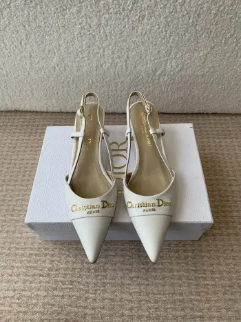 25ss春夏新款D-My尖头高跟鞋 高仿迪奥女士高跟鞋/单鞋