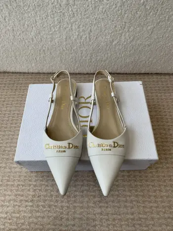 25ss春夏新款D-My尖头高跟鞋 高仿迪奥女士高跟鞋/单鞋