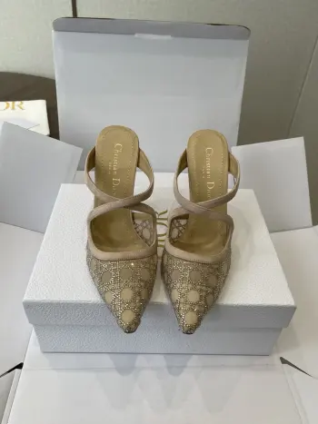 25ss 春夏走秀新款Tribales系列女鞋 高仿迪奥女士高跟鞋/单鞋