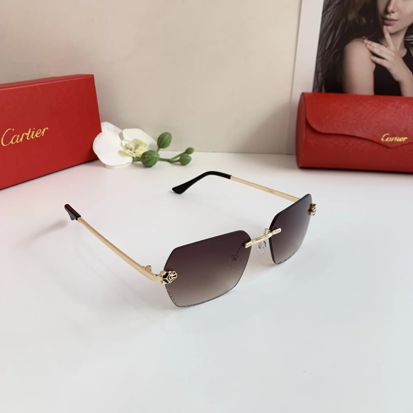 Cartier New Street Style Sunglasses Cartier New Street Style Sunglasses