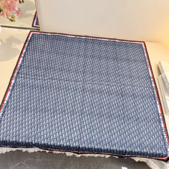 Reliant on printed silk scarves Replica Dior Scarves and Shawls