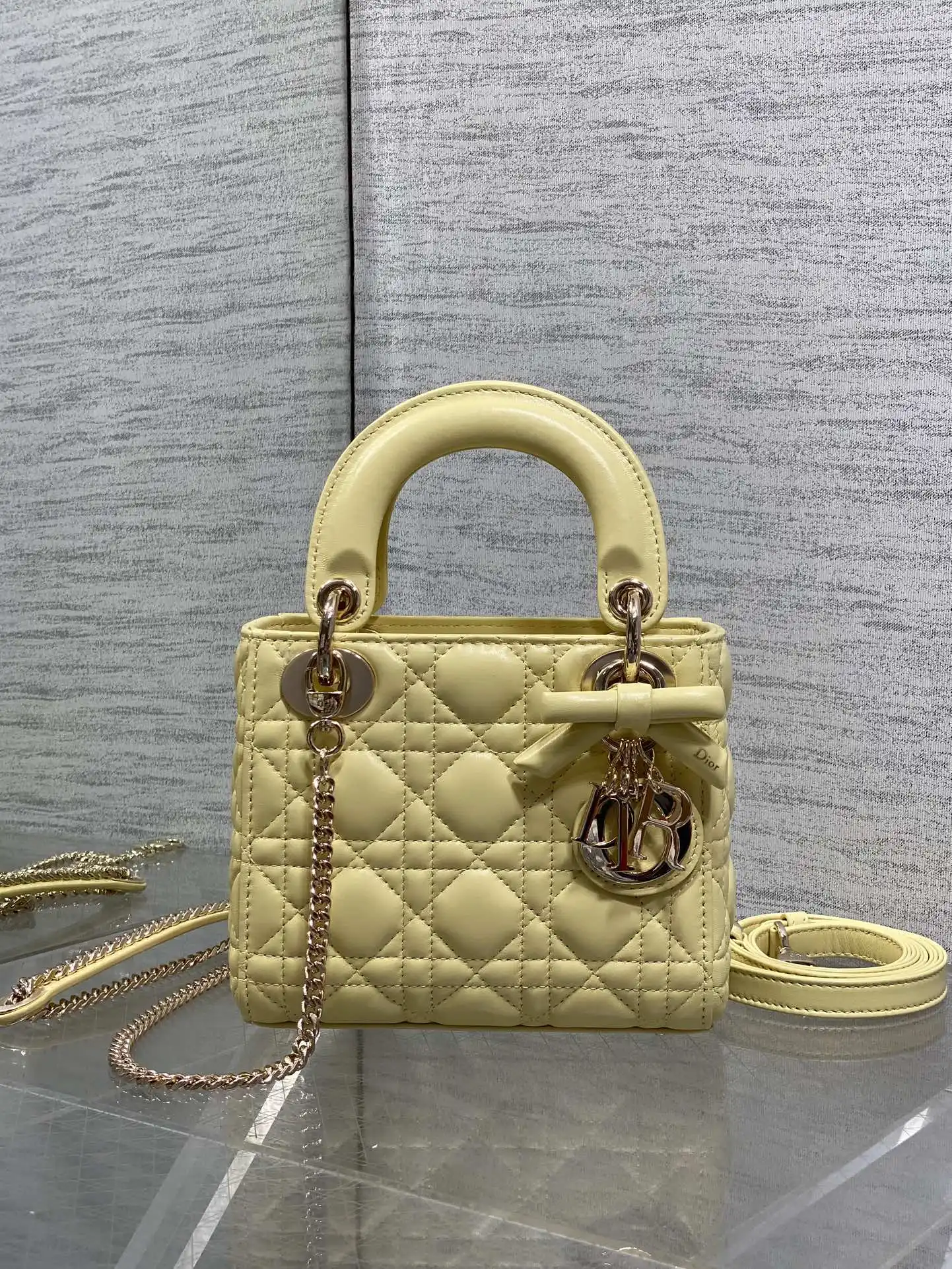 迪奥 最新蝴蝶结戴妃包 女士斜挎包