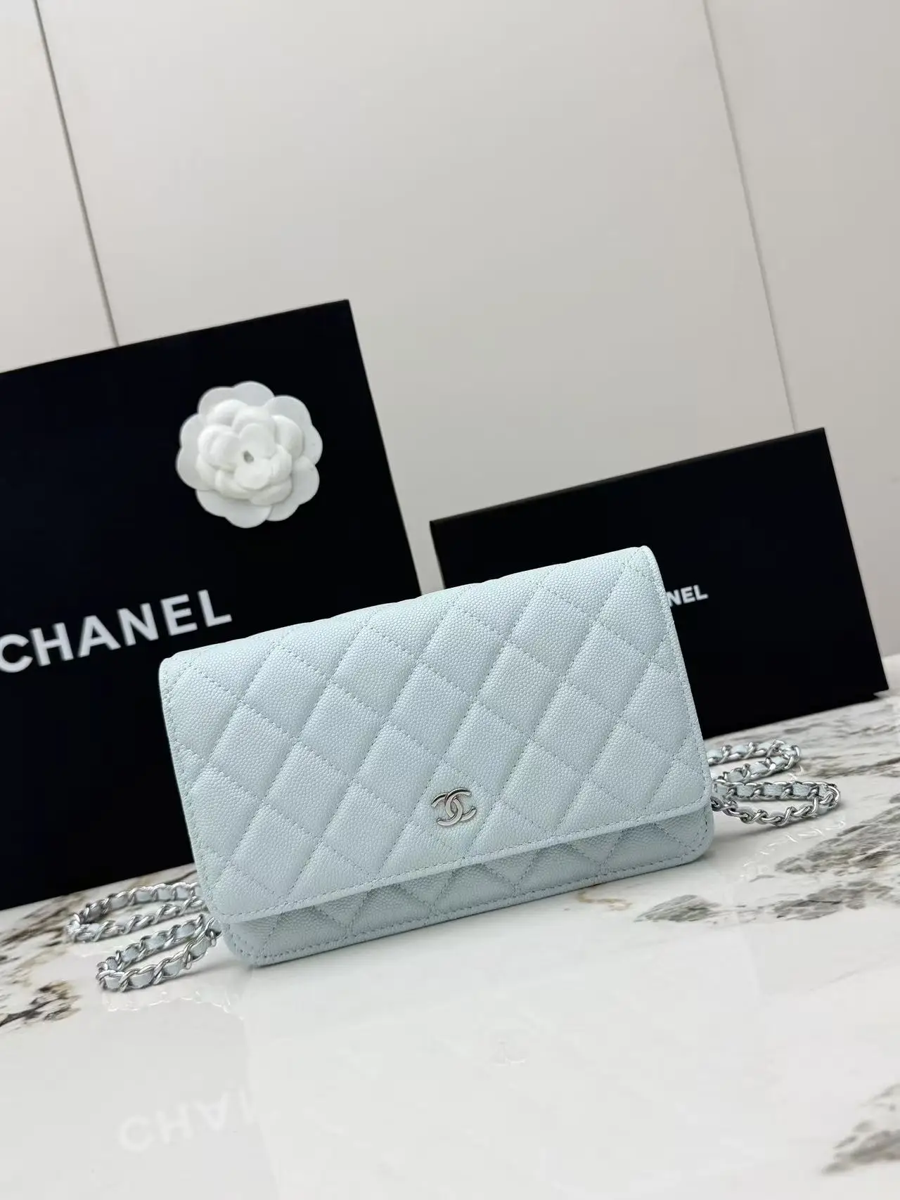 Chanel AP0250 Small Ball Pattern Silver Buckle Fortune Bag Women s Crossbody Bag