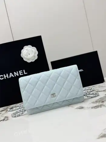 AP0250 Small Ball Pattern Silver Buckle Fortune Bag Women s Crossbody Bag Replica Chanel womens bags