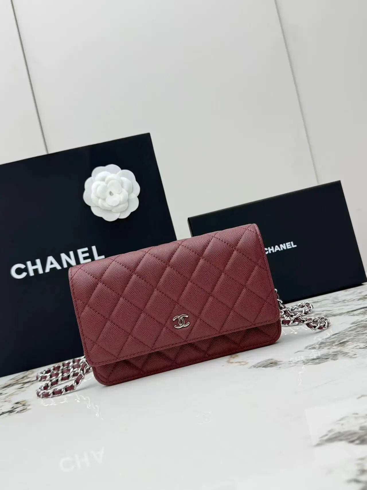 Chanel AP0250 Ball Pattern Silver Buckle Fortune Bag Women s Crossbody Bag