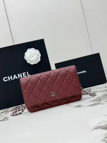AP0250 Ball Pattern Silver Buckle Fortune Bag Women s Crossbody Bag Replica Chanel womens bags