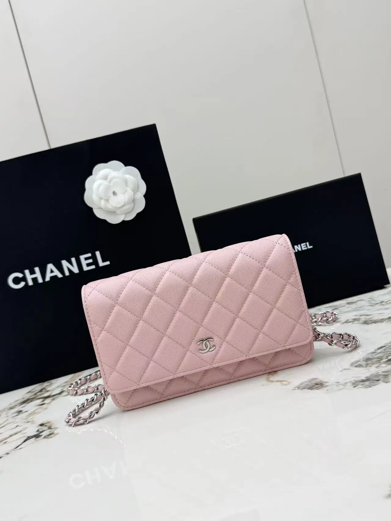 Chanel AP0250 Small Ball Pattern Silver Buckle Fortune Bag Women s Crossbody Bag