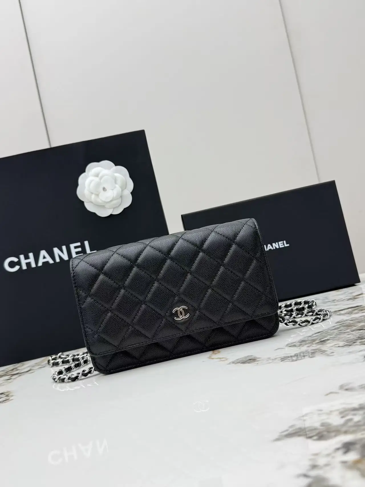 Chanel AP0250 Small Ball Pattern Silver Buckle Fortune Bag Women s Crossbody Bag