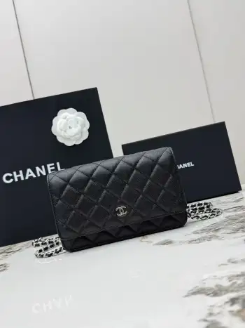 AP0250 Small Ball Pattern Silver Buckle Fortune Bag Women s Crossbody Bag Replica Chanel womens bags