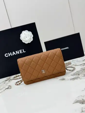AP0250 Small Ball Pattern Silver Buckle Fortune Bag Women s Crossbody Bag Replica Chanel womens bags