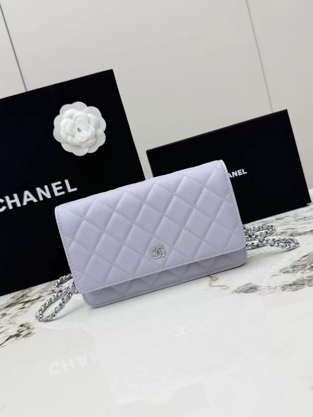 Chanel AP0250 Small Ball Pattern Silver Buckle Fortune Bag Women s Crossbody Bag
