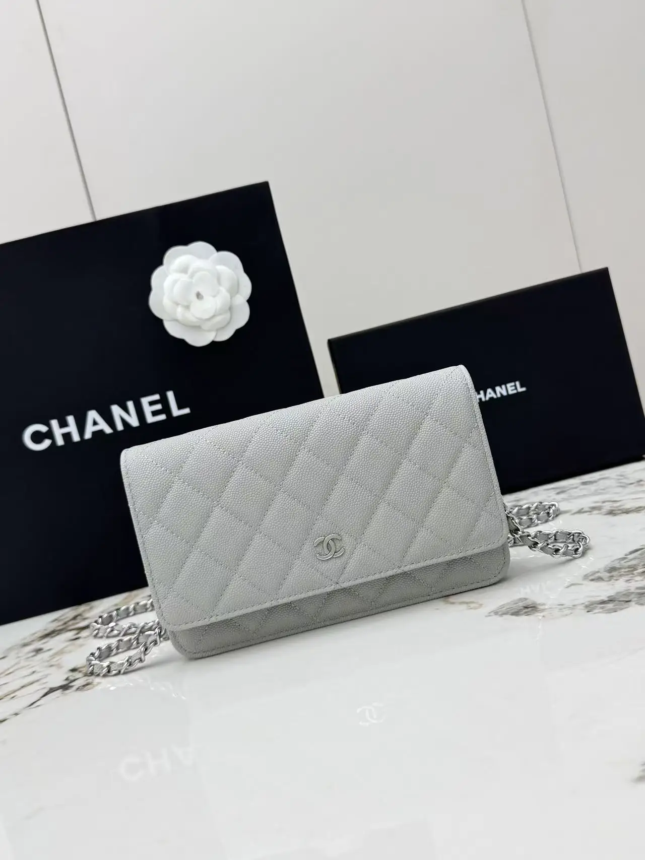 Chanel AP0250 Small Ball Pattern Silver Buckle Fortune Bag Women s Crossbody Bag