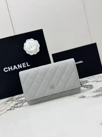 AP0250 Small Ball Pattern Silver Buckle Fortune Bag Women s Crossbody Bag Replica Chanel womens bags