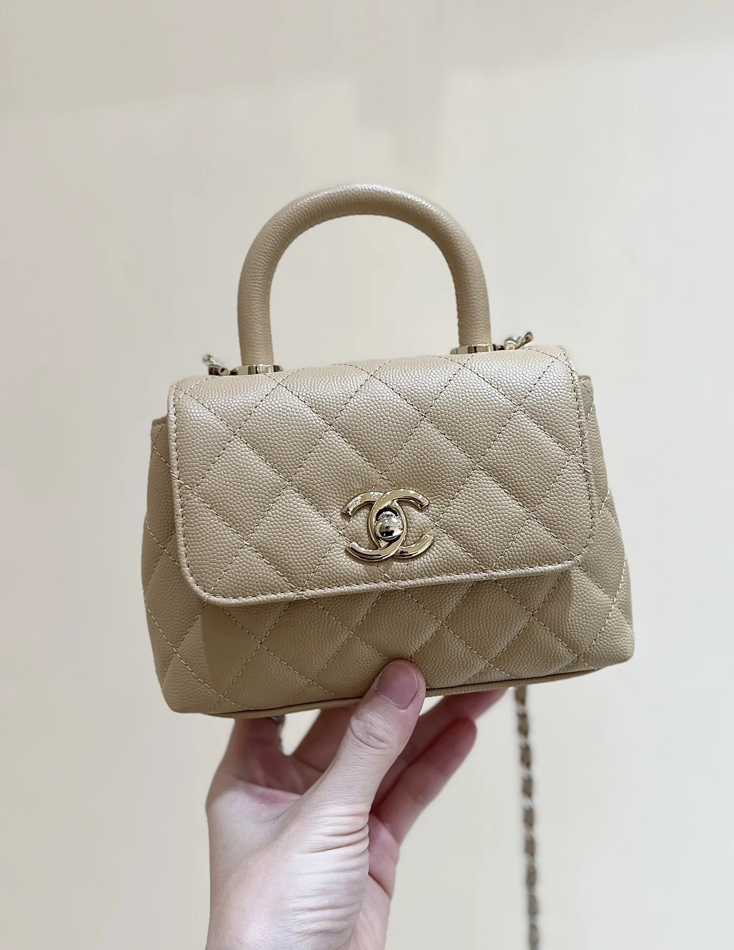 Chanel AP42440 Everlasting Lychee Cowhide Bag Women s Crossbody Bag Chanel AP42440 Everlasting Lychee Cowhide Bag Women s Crossbody Bag