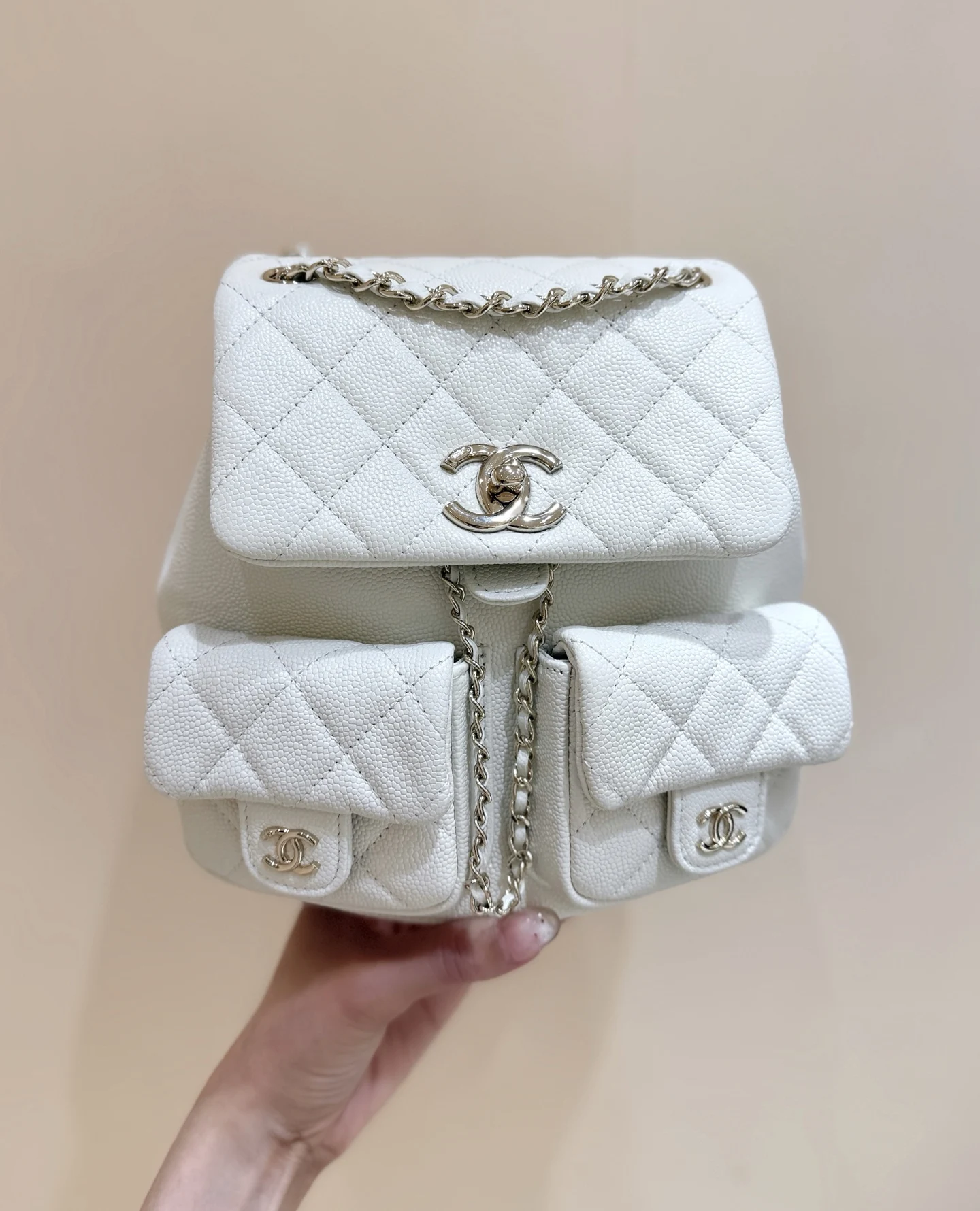 Chanel 3860 Frog Double Backpack