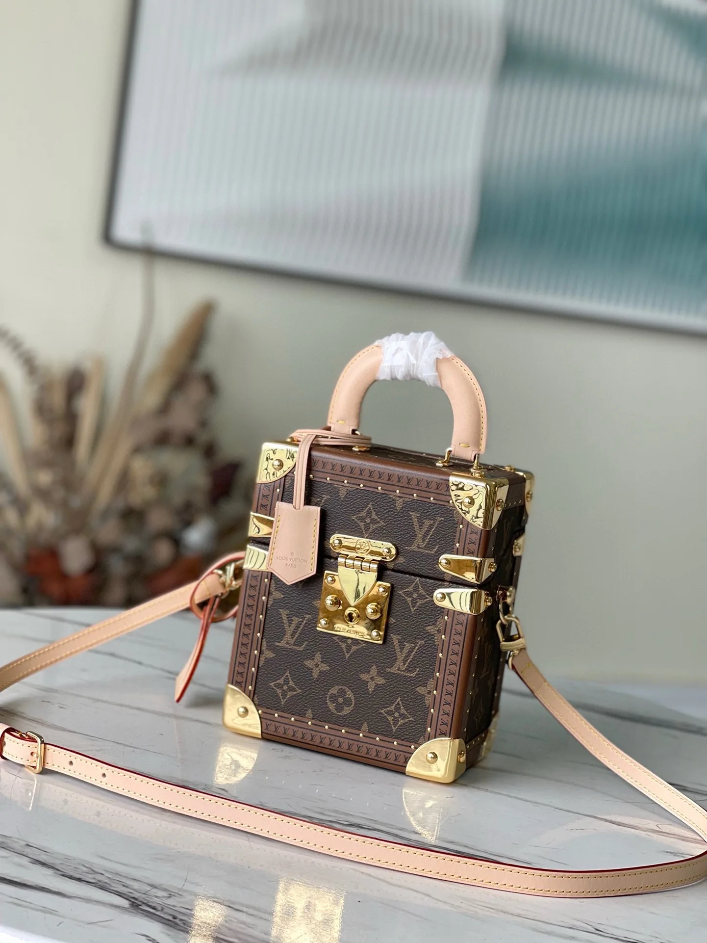 Louis Vuitton M10079 Hard Case Style Handbag Women s Crossbody Bag