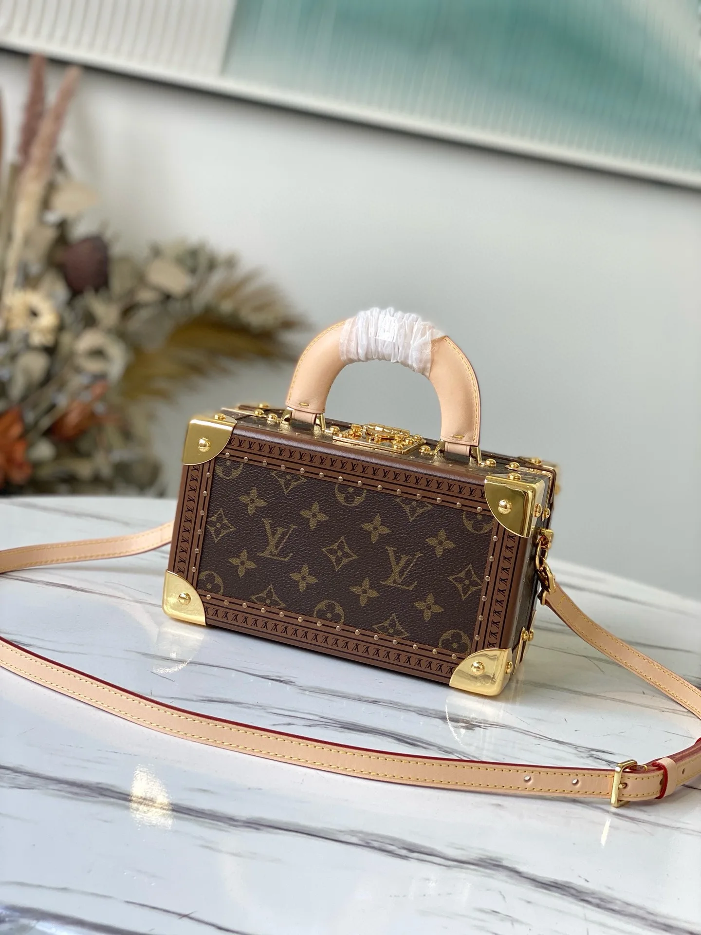 Louis Vuitton M45673 Hard Case Style Handbag Women s Crossbody Bag