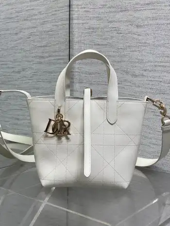Grainy surface small bag women s crossbody bag Replica Dior womens bags