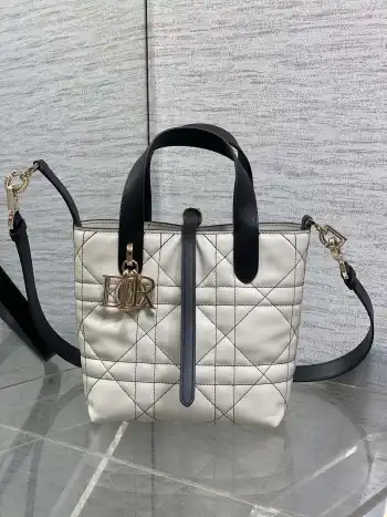 Silver Buckle Black and White Color Block Bag Women s Crossbody Bag Replica Dior womens bags