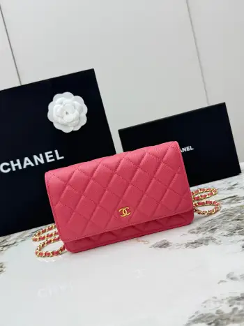 AP0250 Small Ball Pattern Silver Buckle Fortune Bag Women s Crossbody Bag Replica Chanel womens bags