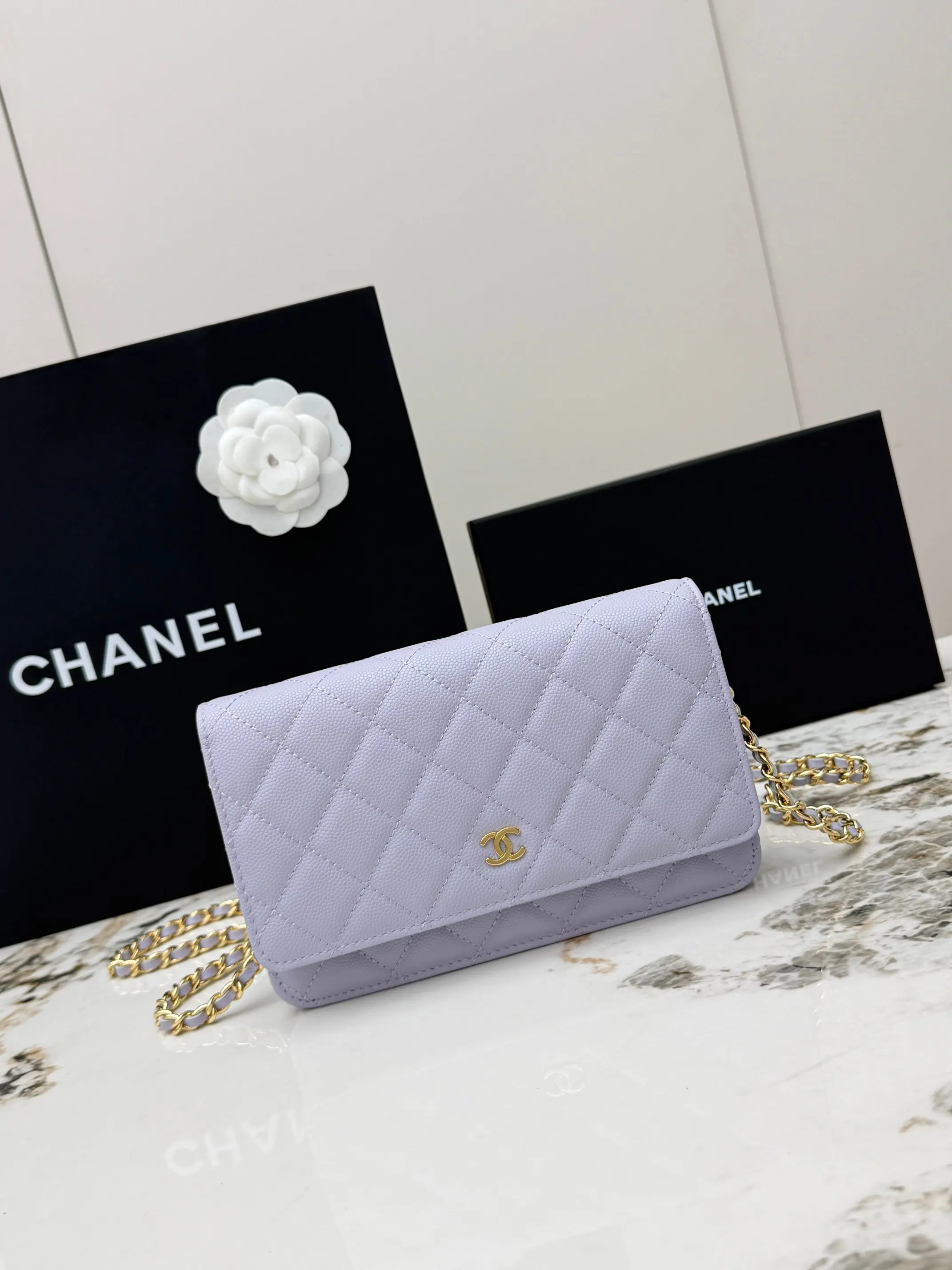 Chanel AP0250 Small Ball Pattern Silver Buckle Fortune Bag Women s Crossbody Bag