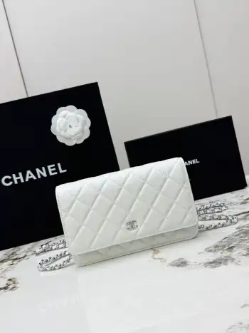 AP0250 Ball Pattern Silver Buckle Fortune Bag Women s Crossbody Bag Replica Chanel womens bags