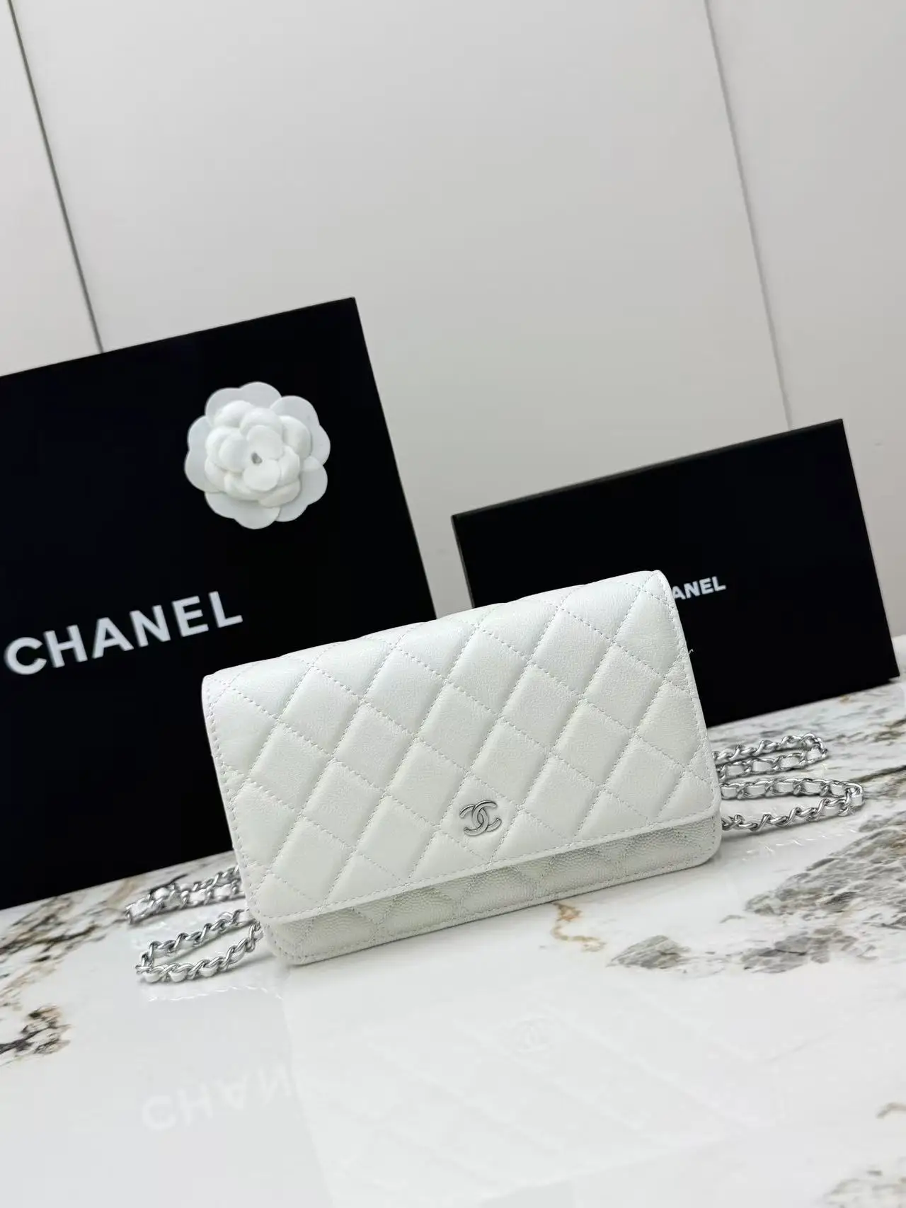 Chanel AP0250 Ball Pattern Silver Buckle Fortune Bag Women s Crossbody Bag Chanel AP0250 Ball Pattern Silver Buckle Fortune Bag Women s Crossbody Bag