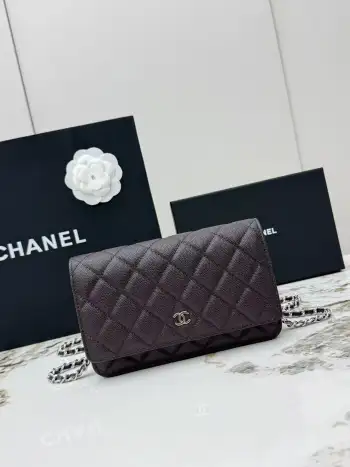 AP0250 Small Ball Pattern Silver Buckle Fortune Bag Women s Crossbody Bag Replica Chanel womens bags