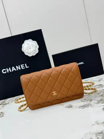 AP0250 Ball Pattern Silver Buckle Fortune Bag Women s Crossbody Bag Replica Chanel womens bags