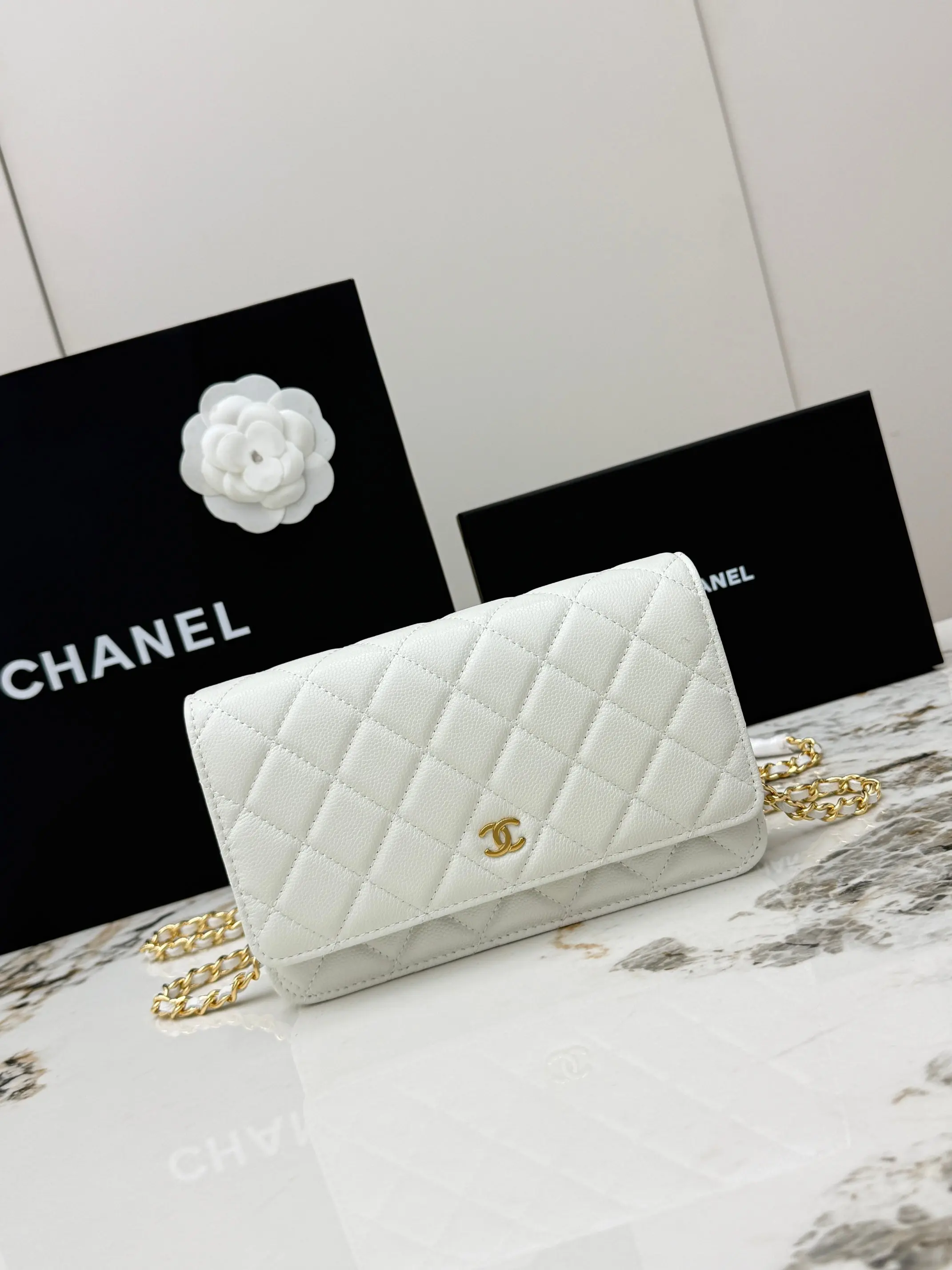 Chanel AP0250 Small Ball Pattern Silver Buckle Fortune Bag Women s Crossbody Bag