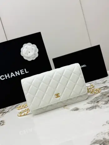 AP0250 Small Ball Pattern Silver Buckle Fortune Bag Women s Crossbody Bag Replica Chanel womens bags