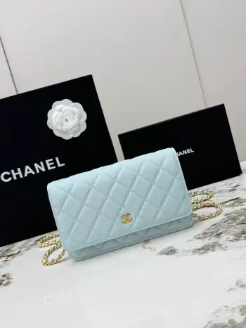 AP0250 Ball Pattern Silver Buckle Fortune Bag Women s Crossbody Bag Replica Chanel womens bags
